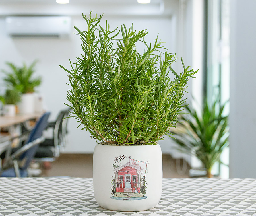 5 vật nhỏ nên đặt cạnh gối ngủ để giữ tài lộc không “đội nón ra đi”- Ảnh 3. 5 vật nhỏ nên đặt cạnh gối ngủ để giữ tài lộc không “đội nón ra đi”- Ảnh 3.