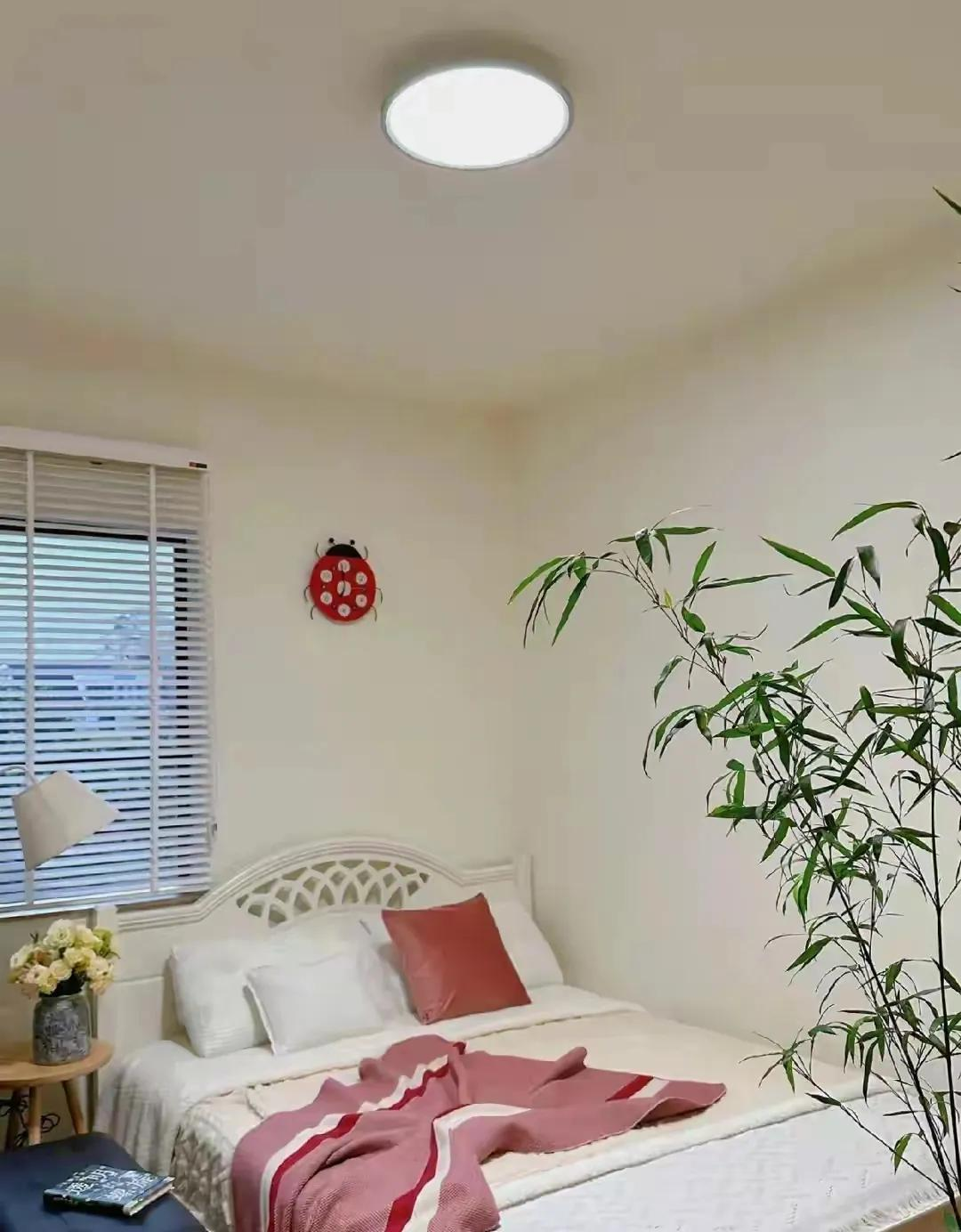 Ngôi nhà 150m² của người phụ nữ về hưu sạch đến mức dân mạng phải thốt lên Ngôi nhà 150m² của người phụ nữ về hưu sạch đến mức dân mạng phải thốt lên