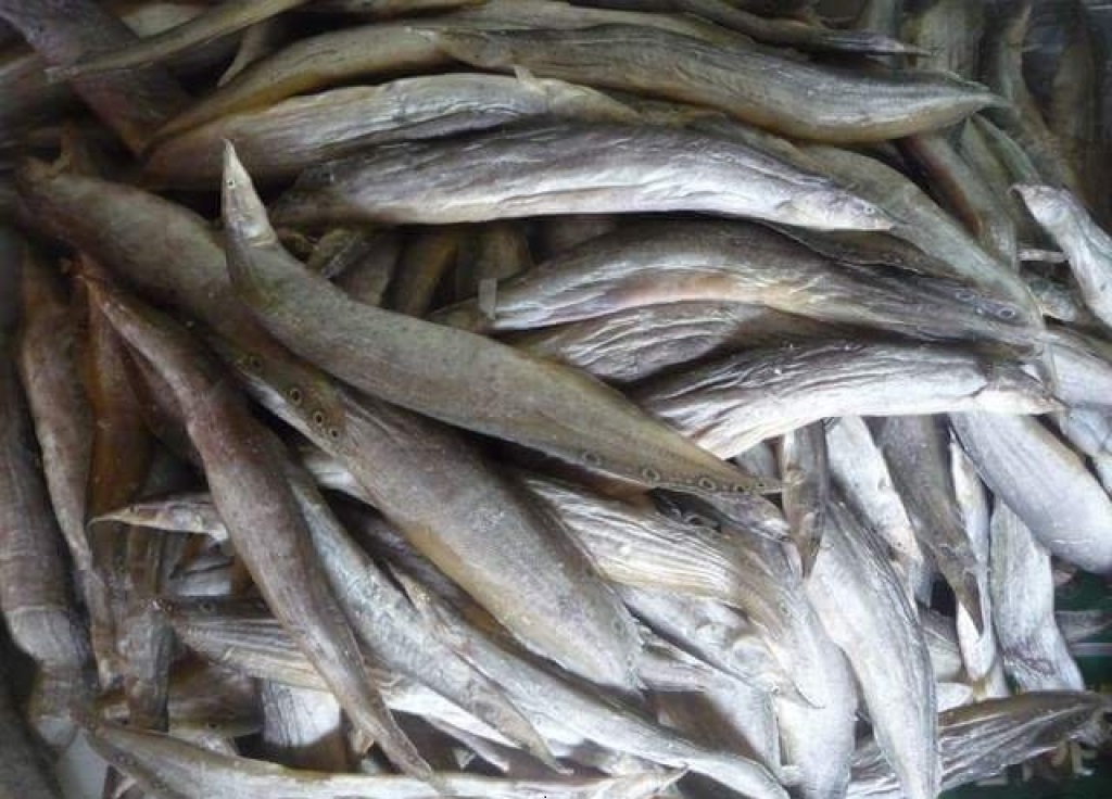 Việt Nam có 1 loại cá được ví như "nhân sâm dưới nước", giàu omega 3 và canxi, gặp ở chợ phải mua ngay- Ảnh 1. Việt Nam có 1 loại cá được ví như "nhân sâm dưới nước", giàu omega 3 và canxi, gặp ở chợ phải mua ngay- Ảnh 1.
