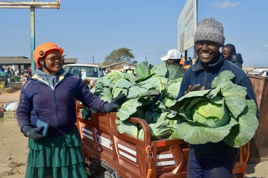 Phụ nữ nông thôn Zimbabwe đổi đời nhờ xe điện- Ảnh 2. Phụ nữ nông thôn Zimbabwe đổi đời nhờ xe điện- Ảnh 2.