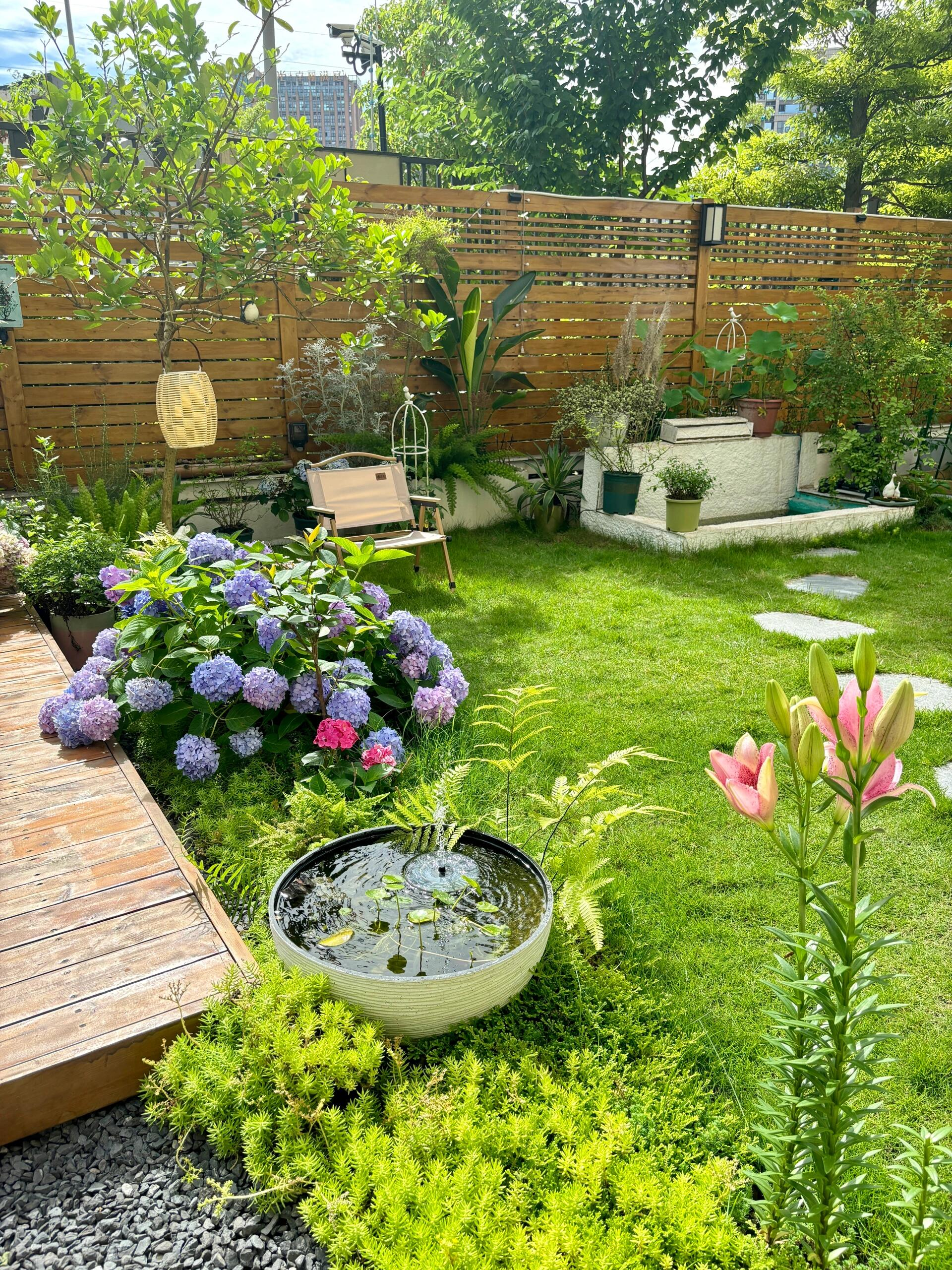 Phụ nữ trung niên 45 tuổi và giấc mơ sân vườn giữa lòng phố: Tự tay cải tạo mảnh sân 70m², sống chậm, sống xanh mỗi ngày- Ảnh 6. Phụ nữ trung niên 45 tuổi và giấc mơ sân vườn giữa lòng phố: Tự tay cải tạo mảnh sân 70m², sống chậm, sống xanh mỗi ngày- Ảnh 6.