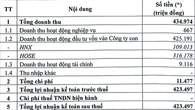 Lý do VNX bị giảm lãi- Ảnh 1. Lý do VNX bị giảm lãi- Ảnh 1.
