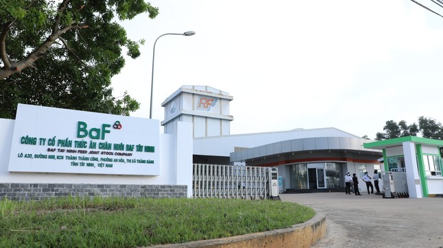 Ngỡ ngàng doanh thu của Vinamilk, BAF- Ảnh 2. Ngỡ ngàng doanh thu của Vinamilk, BAF- Ảnh 2.
