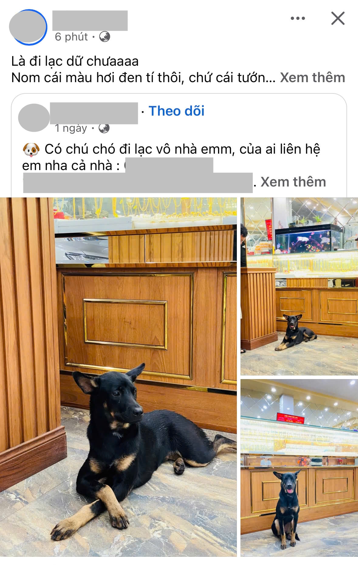 Chuyện Chuyện