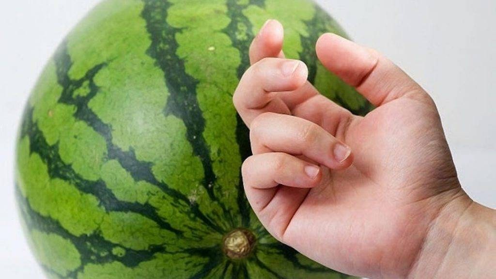 Chỉ mất 5 giây để mua dưa hấu ngon và không bị người bán hàng qua mặt- Ảnh 6. Chỉ mất 5 giây để mua dưa hấu ngon và không bị người bán hàng qua mặt- Ảnh 6.