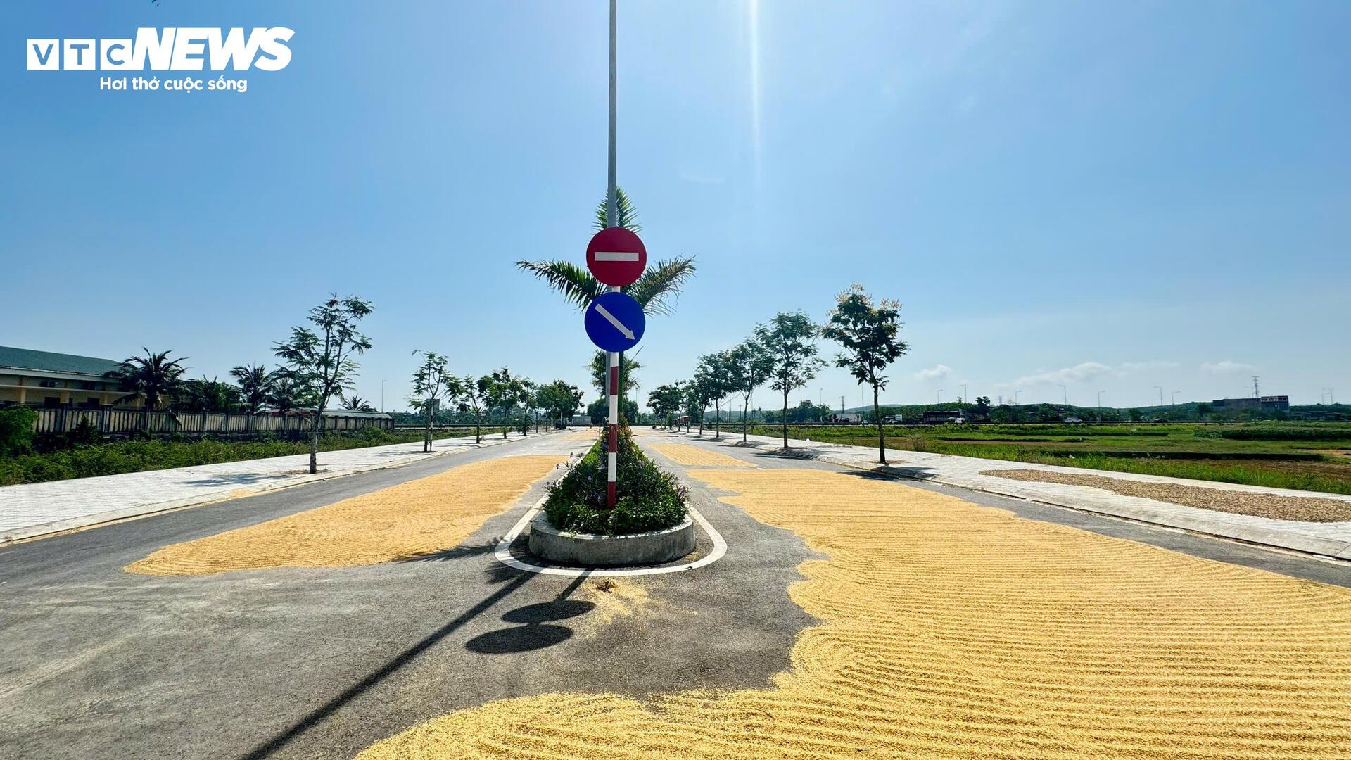 Đường hơn 34 tỷ nối Quốc lộ 1A ra giữa đồng, làm xong chỉ để phơi nông sản- Ảnh 2. Đường hơn 34 tỷ nối Quốc lộ 1A ra giữa đồng, làm xong chỉ để phơi nông sản- Ảnh 2.
