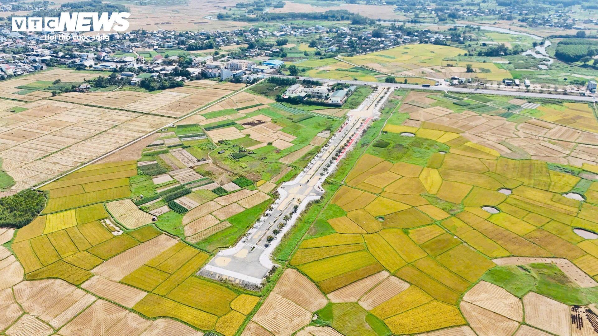 Đường hơn 34 tỷ nối Quốc lộ 1A ra giữa đồng, làm xong chỉ để phơi nông sản- Ảnh 1. Đường hơn 34 tỷ nối Quốc lộ 1A ra giữa đồng, làm xong chỉ để phơi nông sản- Ảnh 1.