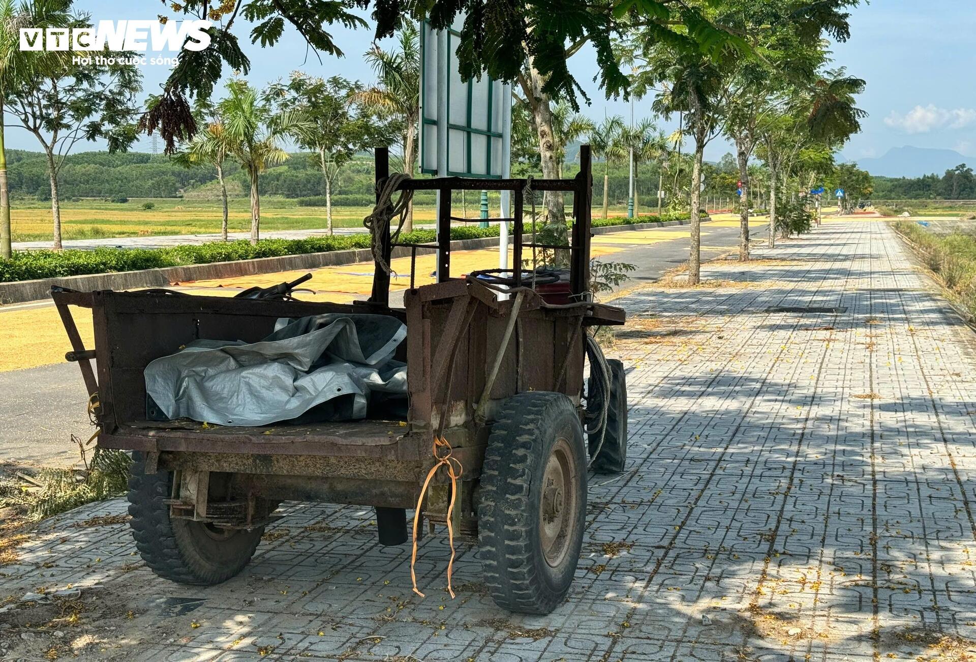 Đường hơn 34 tỷ nối Quốc lộ 1A ra giữa đồng, làm xong chỉ để phơi nông sản- Ảnh 7. Đường hơn 34 tỷ nối Quốc lộ 1A ra giữa đồng, làm xong chỉ để phơi nông sản- Ảnh 7.