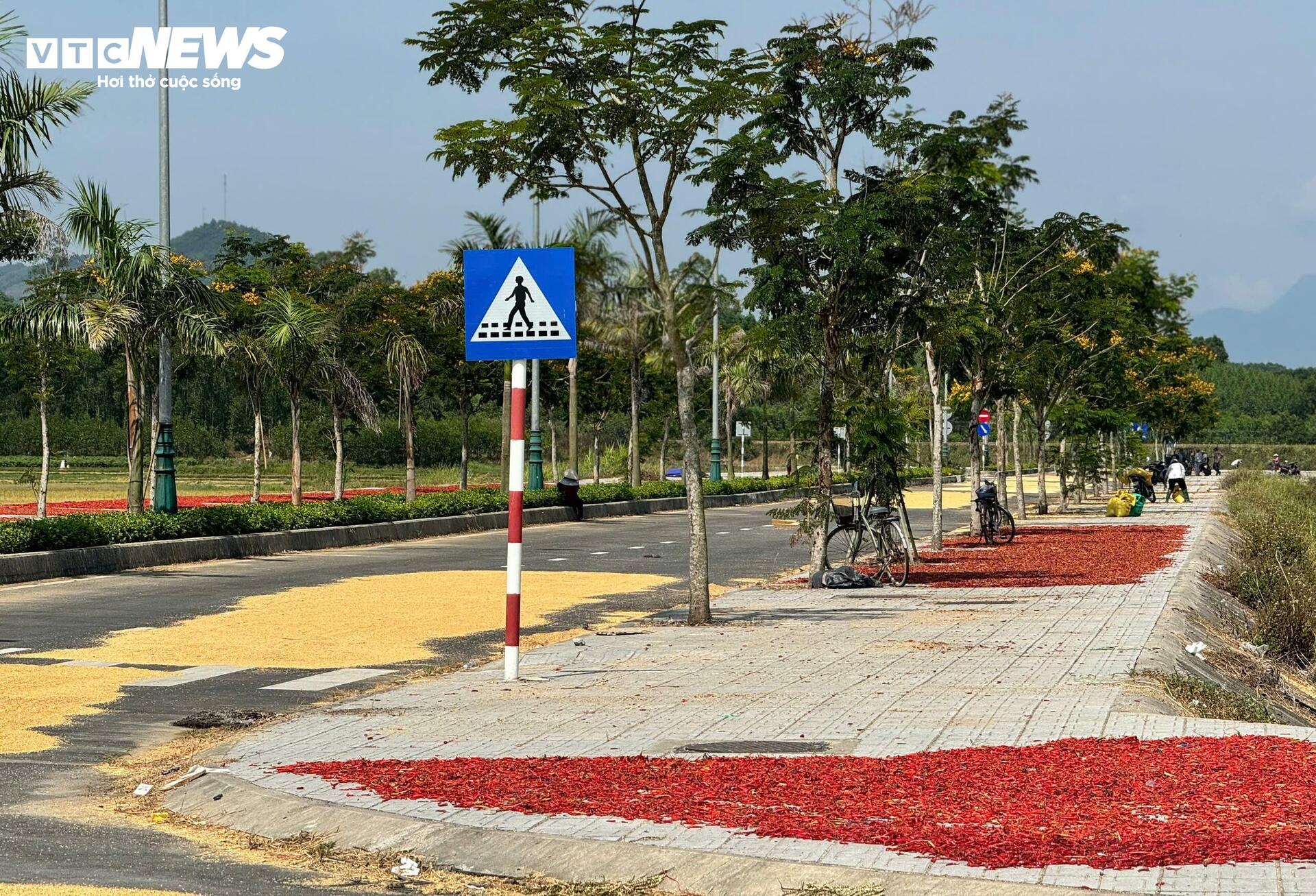 Đường hơn 34 tỷ nối Quốc lộ 1A ra giữa đồng, làm xong chỉ để phơi nông sản- Ảnh 6. Đường hơn 34 tỷ nối Quốc lộ 1A ra giữa đồng, làm xong chỉ để phơi nông sản- Ảnh 6.