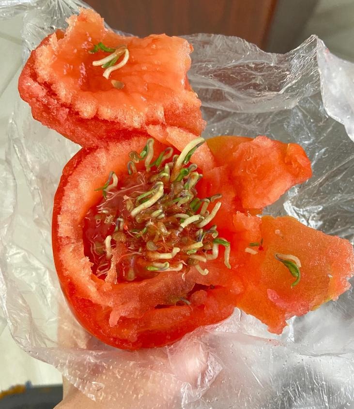 Nói thật: Nhét 7 thứ này vào tủ lạnh chẳng khác nào "đào hố chôn mình"- Ảnh 5. Nói thật: Nhét 7 thứ này vào tủ lạnh chẳng khác nào "đào hố chôn mình"- Ảnh 5.