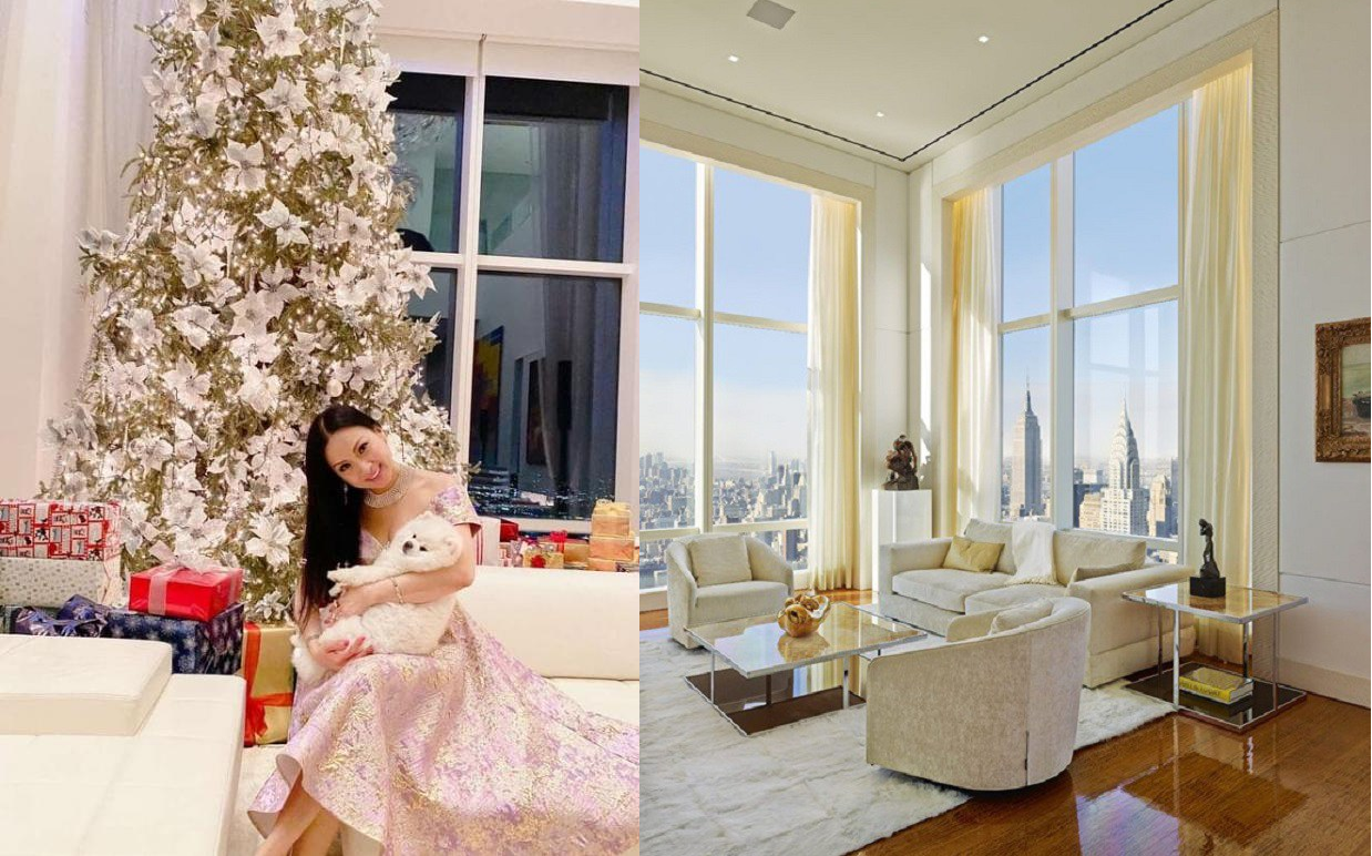 Ca sĩ Việt giàu nhất thế giới: Nơi ở như lâu đài, mua penthouse đắt nhất nước Mỹ, có nhà hát opera riêng- Ảnh 3. Ca sĩ Việt giàu nhất thế giới: Nơi ở như lâu đài, mua penthouse đắt nhất nước Mỹ, có nhà hát opera riêng- Ảnh 3.
