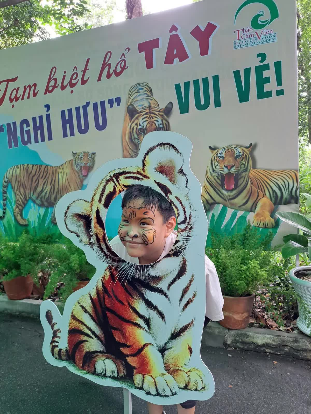 Xúc động lễ chia tay “ông” hổ Tây ở Thảo Cầm Viên Sài Gòn- Ảnh 2. Xúc động lễ chia tay “ông” hổ Tây ở Thảo Cầm Viên Sài Gòn- Ảnh 2.