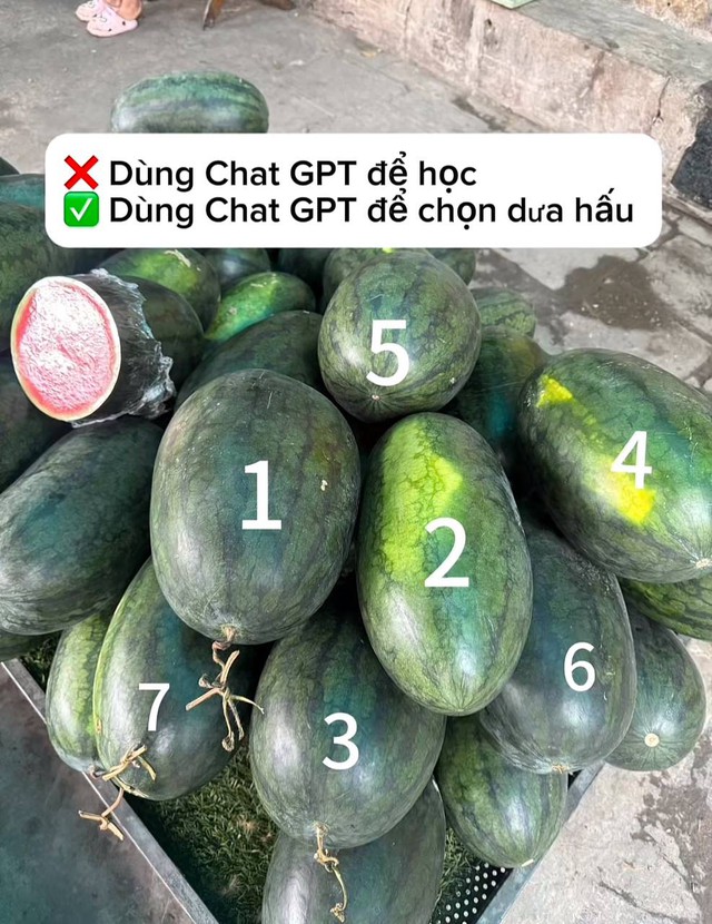 Không rành đi chợ nhưng chỉ làm đúng điều này cô gái khiến cả nhà nhìn bằng ánh mắt khác- Ảnh 3. Không rành đi chợ nhưng chỉ làm đúng điều này cô gái khiến cả nhà nhìn bằng ánh mắt khác- Ảnh 3.