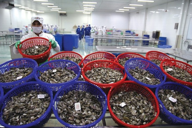 Trung Quốc bất ngờ tăng mạnh nhập khẩu ốc từ Việt Nam- Ảnh 1. Trung Quốc bất ngờ tăng mạnh nhập khẩu ốc từ Việt Nam- Ảnh 1.
