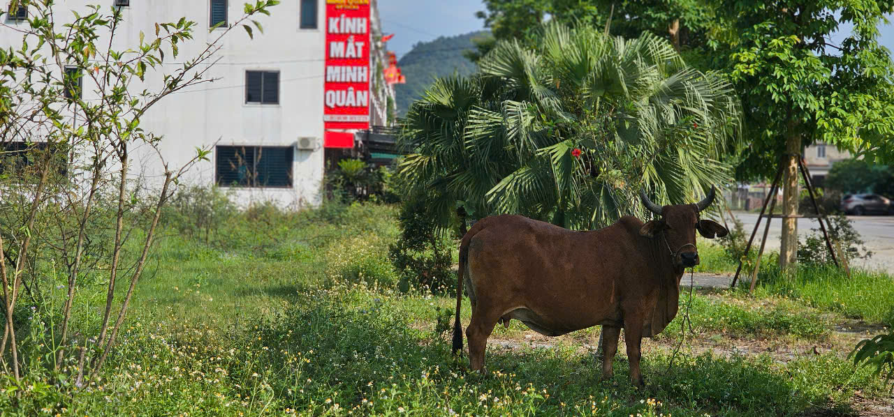 Cận cảnh khu đô thị hơn 1.400 tỉ đồng quá hạn tiến độ 6 năm vẫn chưa hoàn thành- Ảnh 16. Cận cảnh khu đô thị hơn 1.400 tỉ đồng quá hạn tiến độ 6 năm vẫn chưa hoàn thành- Ảnh 16.