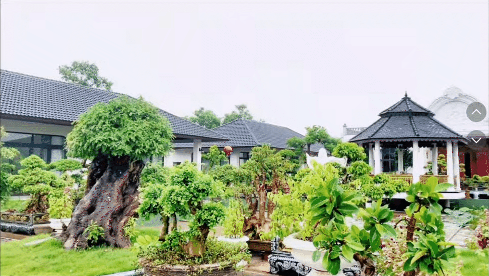4 anh em ruột xây 4 căn villa giống hệt nhau trong khuôn viên rộng 6.000m2 ở Thanh Hóa: Resort nào đọ nổi đây?- Ảnh 14. 4 anh em ruột xây 4 căn villa giống hệt nhau trong khuôn viên rộng 6.000m2 ở Thanh Hóa: Resort nào đọ nổi đây?- Ảnh 14.