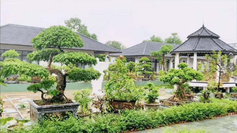 4 anh em ruột xây 4 căn villa giống hệt nhau trong khuôn viên rộng 6.000m2 ở Thanh Hóa: Resort nào đọ nổi đây?- Ảnh 12. 4 anh em ruột xây 4 căn villa giống hệt nhau trong khuôn viên rộng 6.000m2 ở Thanh Hóa: Resort nào đọ nổi đây?- Ảnh 12.
