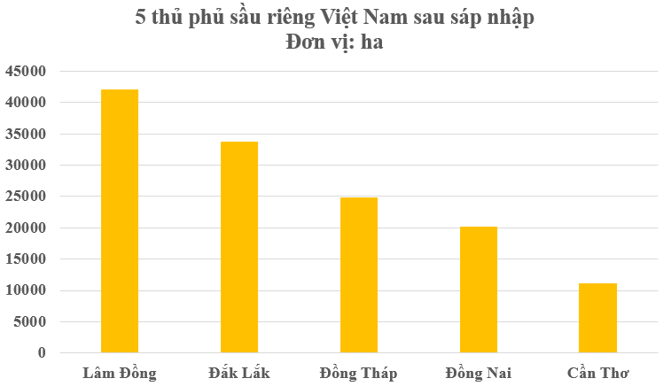 Việt Nam có thủ phủ sầu riêng mới sau sáp nhập tỉnh thành, diện tích trồng chiếm 1/4 cả nước- Ảnh 2. Việt Nam có thủ phủ sầu riêng mới sau sáp nhập tỉnh thành, diện tích trồng chiếm 1/4 cả nước- Ảnh 2.