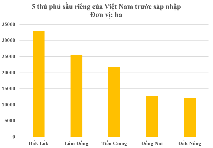 Việt Nam có thủ phủ sầu riêng mới sau sáp nhập tỉnh thành, diện tích trồng chiếm 1/4 cả nước- Ảnh 1. Việt Nam có thủ phủ sầu riêng mới sau sáp nhập tỉnh thành, diện tích trồng chiếm 1/4 cả nước- Ảnh 1.