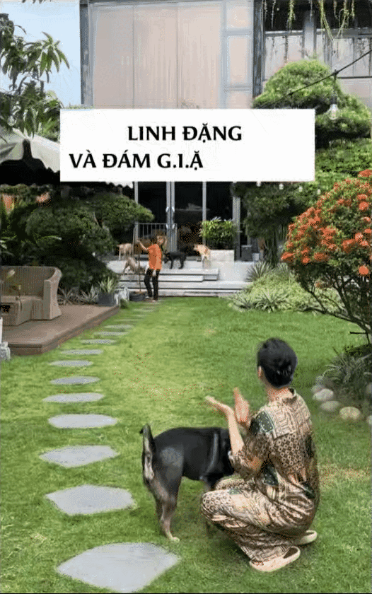 "Chị bán gạo" hot nhất TikTok xây villa cho cún cưng, 2 triệu người cảm thấy... "thua đời"- Ảnh 1. "Chị bán gạo" hot nhất TikTok xây villa cho cún cưng, 2 triệu người cảm thấy... "thua đời"- Ảnh 1.