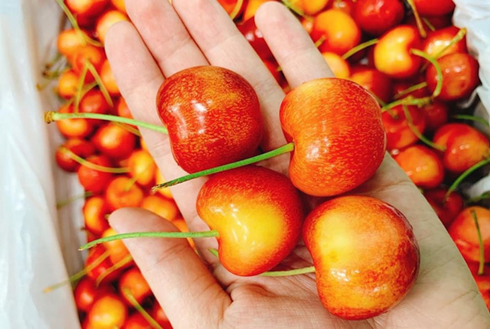 1 loại quả nhiều sắt hơn thịt bò, được Việt Nam chi hơn 1.257 tỷ đồng để thu mua: Bổ máu và trí não, còn bảo vệ tim hiệu quả- Ảnh 2. 1 loại quả nhiều sắt hơn thịt bò, được Việt Nam chi hơn 1.257 tỷ đồng để thu mua: Bổ máu và trí não, còn bảo vệ tim hiệu quả- Ảnh 2.