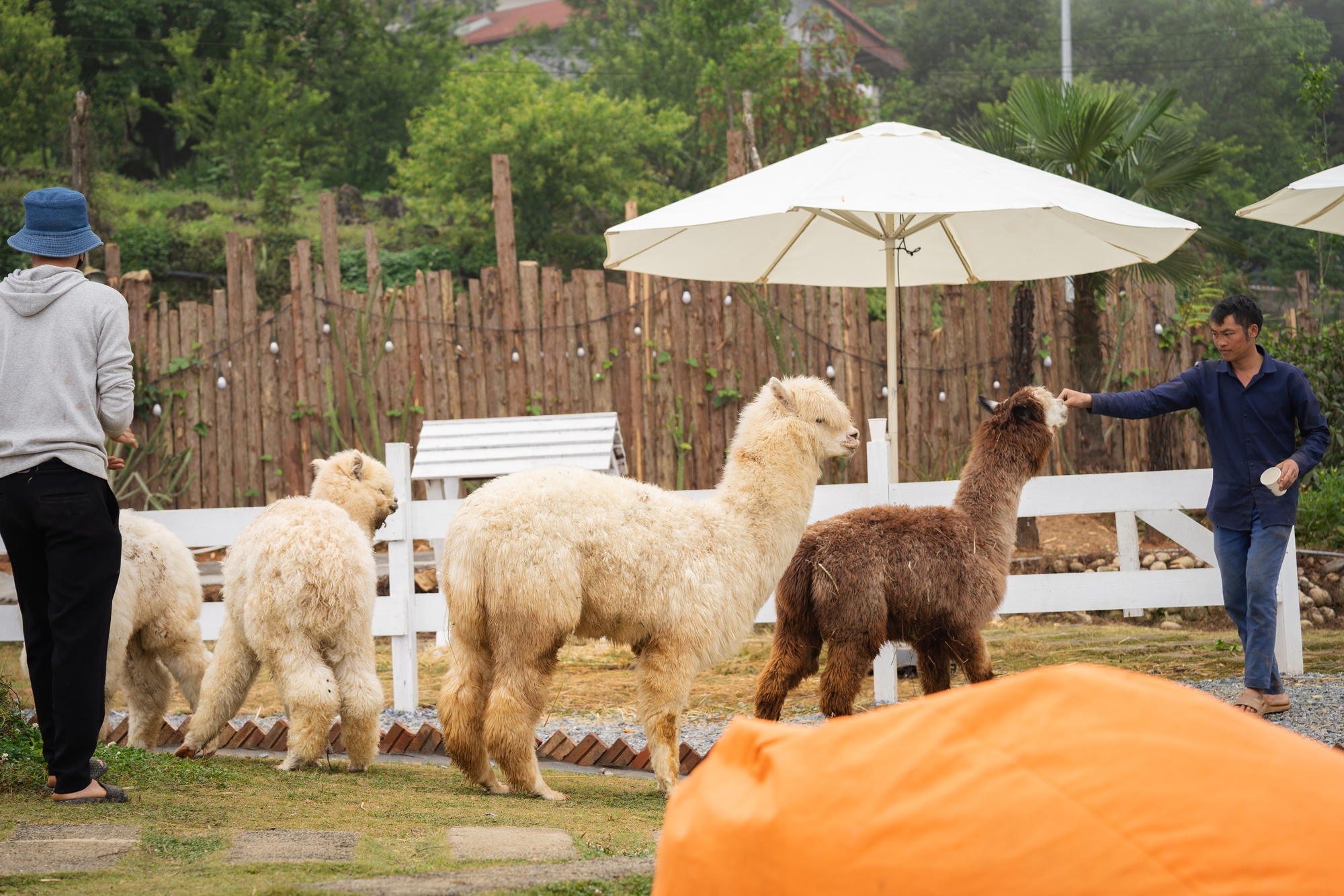 Mùa hè trốn nắng nóng rủ nhau đi chơi ở Sa Pa và đây là những địa điểm check-in kiểu gì cũng có ảnh đẹp!- Ảnh 8.