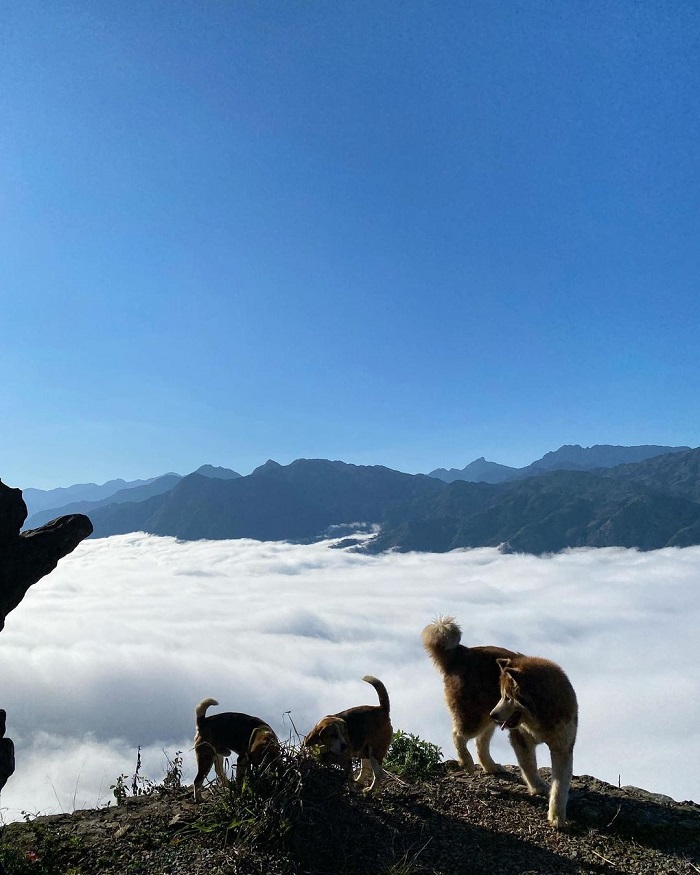Mùa hè trốn nắng nóng rủ nhau đi chơi ở Sa Pa và đây là những địa điểm check-in kiểu gì cũng có ảnh đẹp!- Ảnh 15.