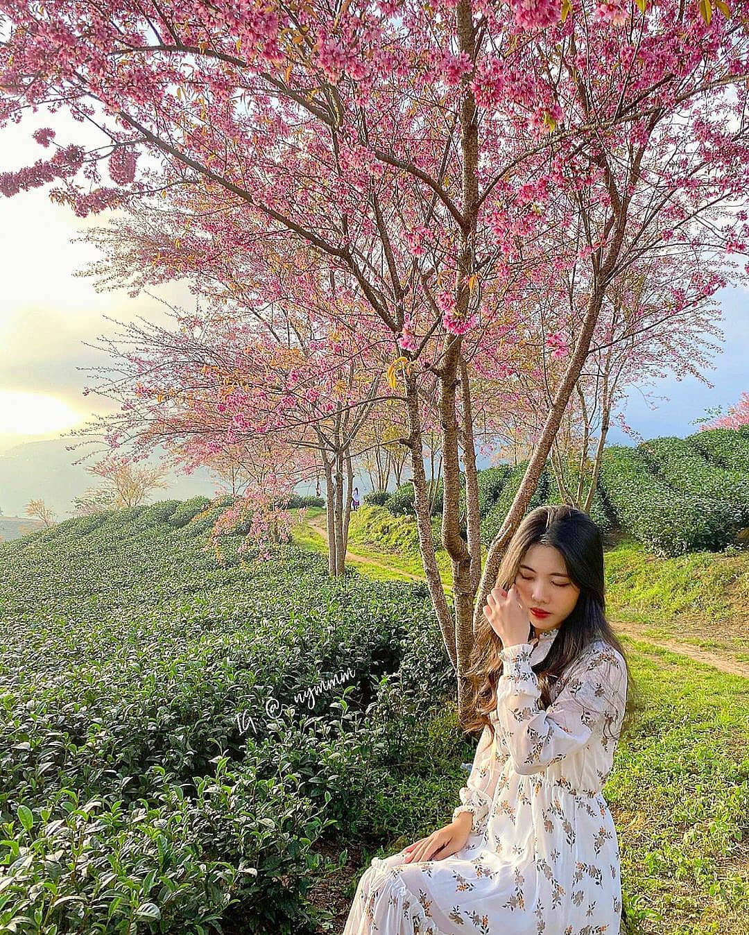 Mùa hè trốn nắng nóng rủ nhau đi chơi ở Sa Pa và đây là những địa điểm check-in kiểu gì cũng có ảnh đẹp!- Ảnh 7.