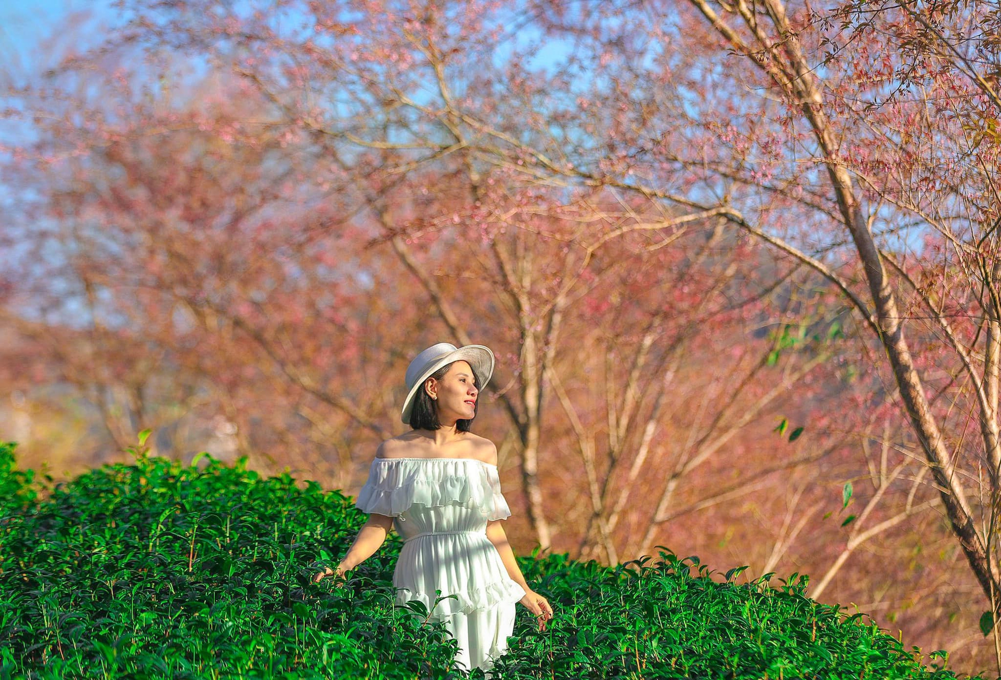 Mùa hè trốn nắng nóng rủ nhau đi chơi ở Sa Pa và đây là những địa điểm check-in kiểu gì cũng có ảnh đẹp!- Ảnh 6.