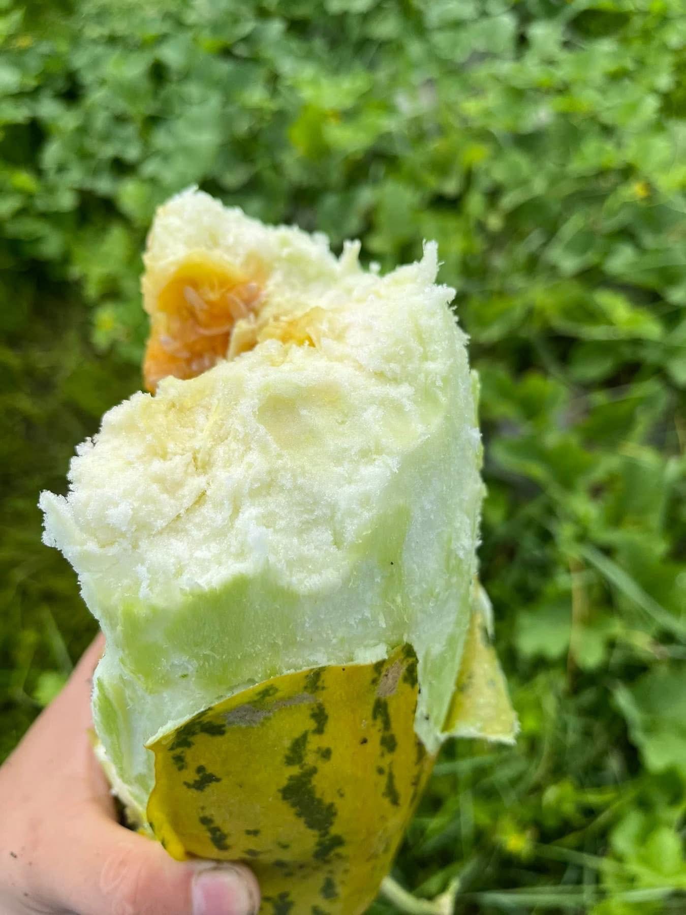 Loại quả rẻ bèo, không lo "ngậm" thuốc trừ sâu được ví như “quốc hồn quốc tuý” ở miền Bắc dịp hè- Ảnh 8. Loại quả rẻ bèo, không lo "ngậm" thuốc trừ sâu được ví như “quốc hồn quốc tuý” ở miền Bắc dịp hè- Ảnh 8.