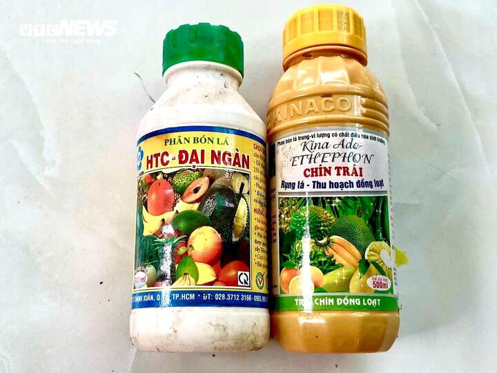 Nỗi oan sầu riêng 'nhúng thuốc'- Ảnh 4. Nỗi oan sầu riêng 'nhúng thuốc'- Ảnh 4.