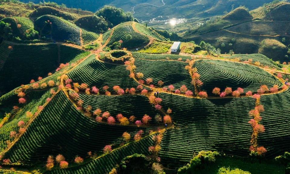 Mùa hè trốn nắng nóng rủ nhau đi chơi ở Sa Pa và đây là những địa điểm check-in kiểu gì cũng có ảnh đẹp!- Ảnh 5.