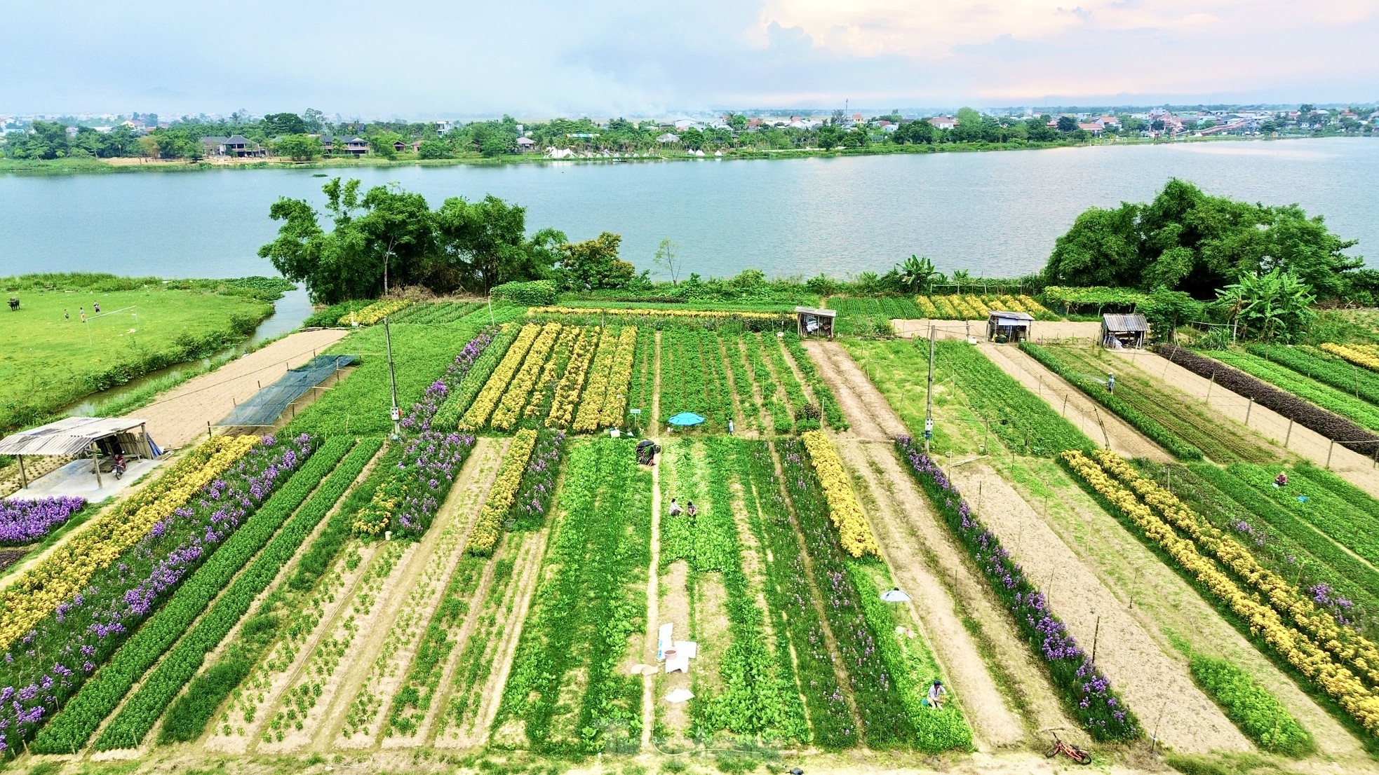 Phường duy nhất tại Huế không sáp nhập có gì đặc biệt?- Ảnh 13. Phường duy nhất tại Huế không sáp nhập có gì đặc biệt?- Ảnh 13.