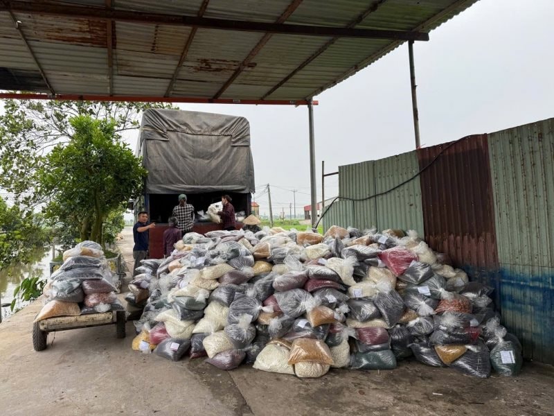 Đường dây 100 tấn thực phẩm chức năng giả: Nguyên Cục trưởng Nguyễn Thanh Phong nói về 5 lần nhận tiền- Ảnh 3. Đường dây 100 tấn thực phẩm chức năng giả: Nguyên Cục trưởng Nguyễn Thanh Phong nói về 5 lần nhận tiền- Ảnh 3.
