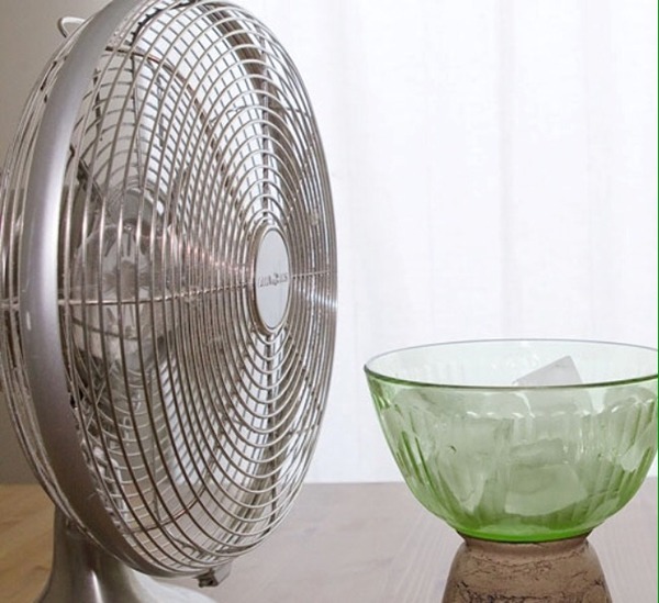 Dùng quạt nửa đời người, tôi nghĩ mình sành, hóa ra Dùng quạt nửa đời người, tôi nghĩ mình sành, hóa ra