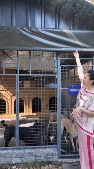 "Chị bán gạo" hot nhất TikTok xây villa cho cún cưng, 2 triệu người cảm thấy... "thua đời"- Ảnh 4. "Chị bán gạo" hot nhất TikTok xây villa cho cún cưng, 2 triệu người cảm thấy... "thua đời"- Ảnh 4.