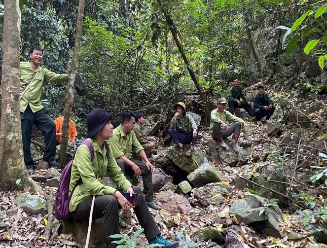 Sơn La: Phát hiện loài cây nở hoa hình con dơi, 'râu' dài như râu hùm- Ảnh 1.