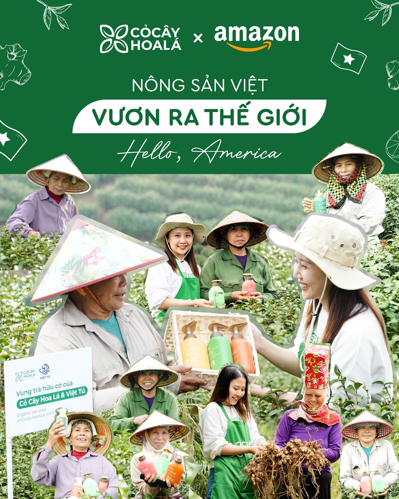 Tuổi trẻ xông pha, nông sản vươn xa: Cỏ Cây Hoa Lá đổ bộ Amazon- Ảnh 4. Tuổi trẻ xông pha, nông sản vươn xa: Cỏ Cây Hoa Lá đổ bộ Amazon- Ảnh 4.