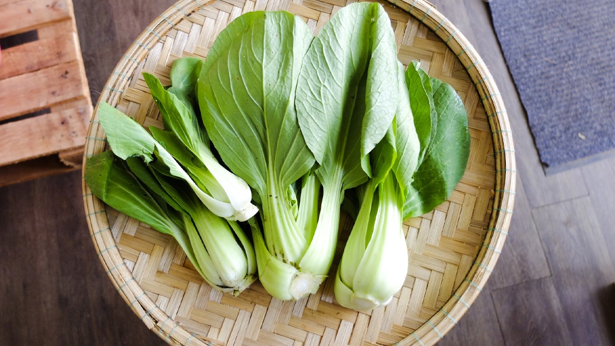 5 loại rau nên mua ngay trong tháng 5: Vào vụ, ăn mát, ít thuốc và giá rẻ bất ngờ- Ảnh 6.