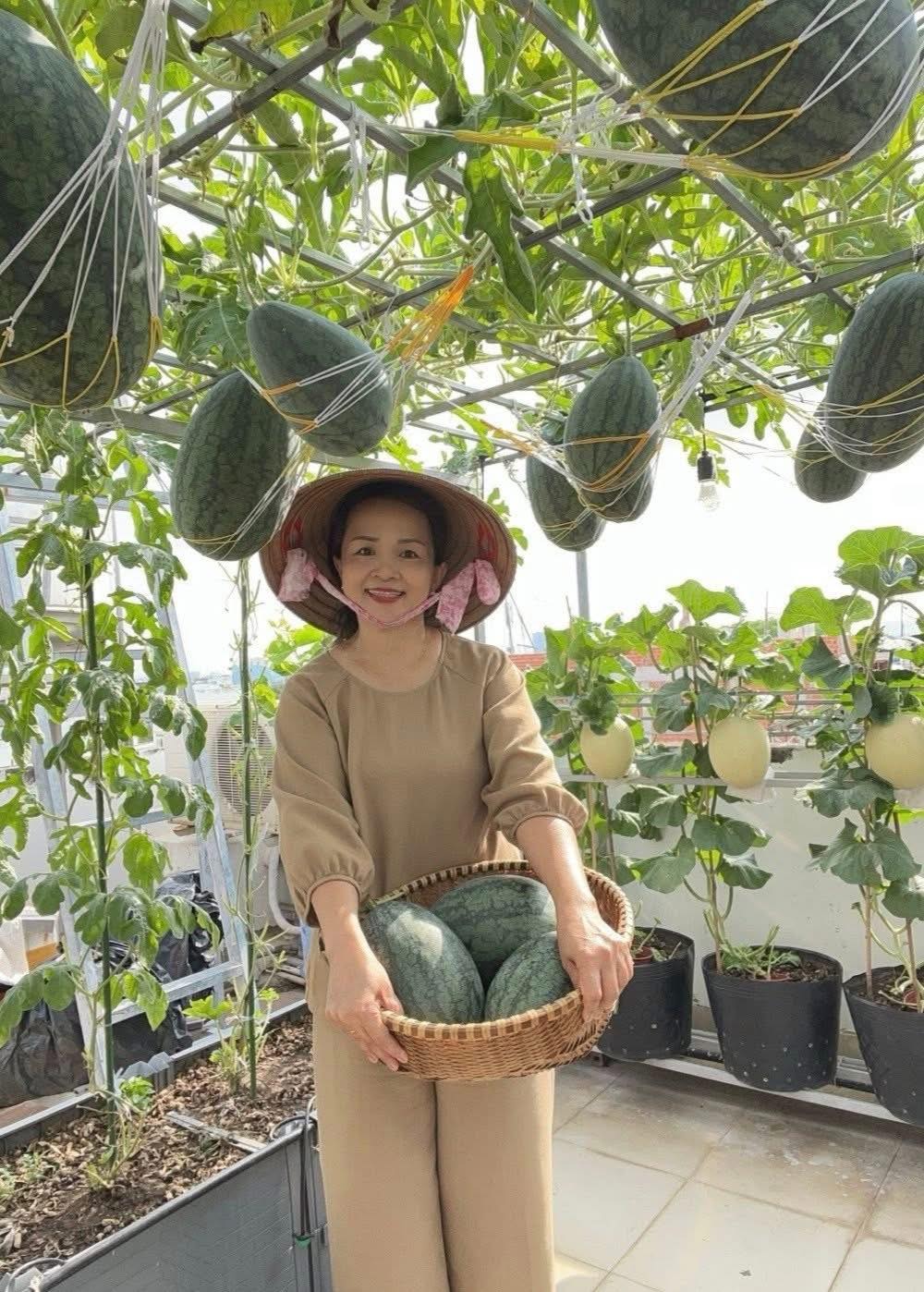 Chồng đầu tư cho vợ gần 100m2 làm vườn sân thượng, thu vài tạ trái ngọt mỗi năm: Thành quả kinh ngạc!- Ảnh 9. Chồng đầu tư cho vợ gần 100m2 làm vườn sân thượng, thu vài tạ trái ngọt mỗi năm: Thành quả kinh ngạc!- Ảnh 9.