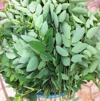 5 loại rau nên mua ngay trong tháng 5: Vào vụ, ăn mát, ít thuốc và giá rẻ bất ngờ- Ảnh 4.