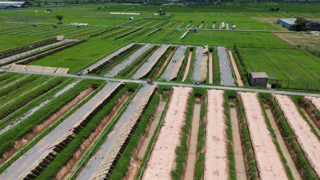 Hà Nội: Nhiều dự án cụm công nghiệp làng nghề vướng mặt bằng- Ảnh 8. Hà Nội: Nhiều dự án cụm công nghiệp làng nghề vướng mặt bằng- Ảnh 8.