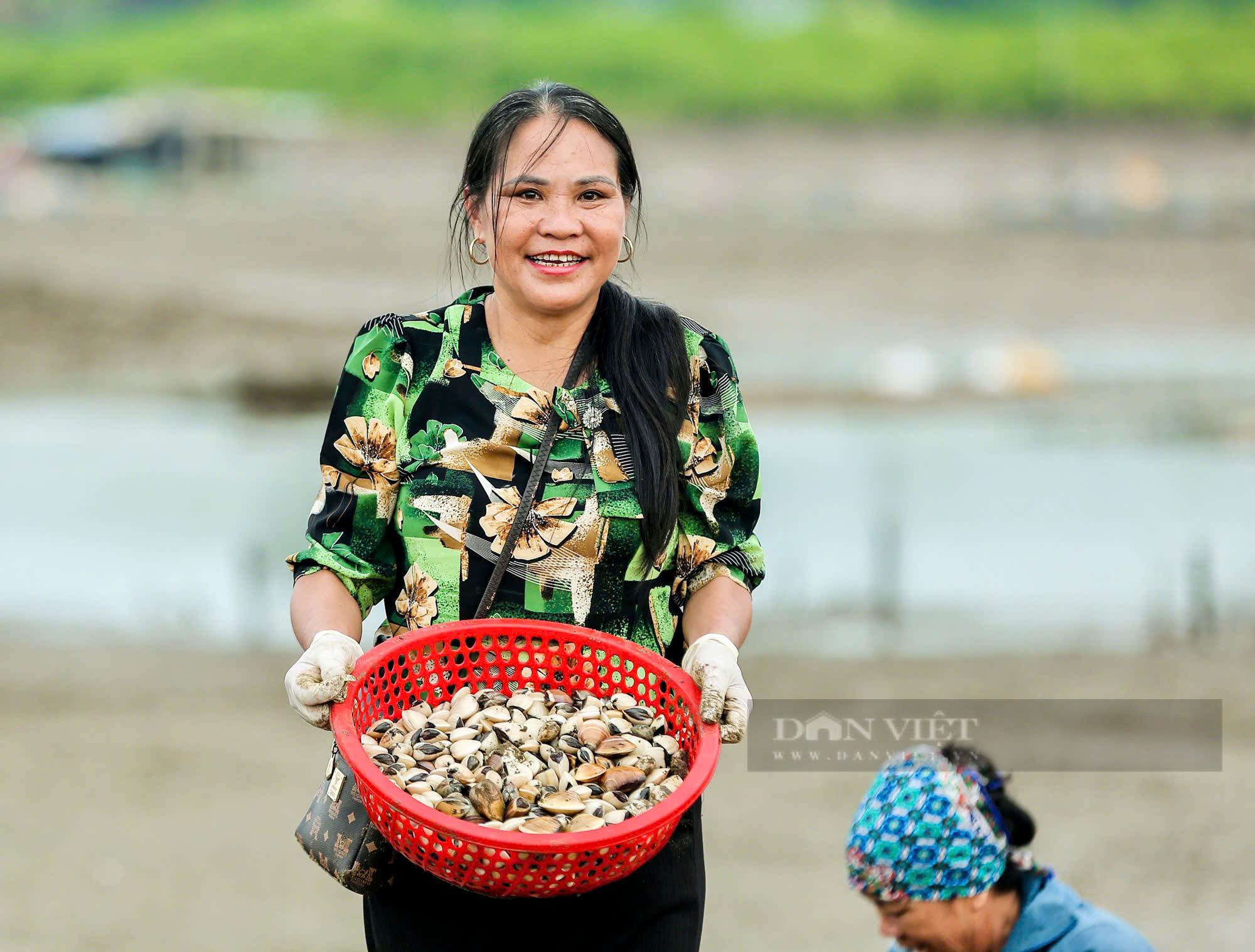 Việt Nam có loại thủy sản nhiều sắt hơn thịt bò, Trung Quốc bỏ triệu đô để mua: Hạ mỡ máu, trị tiểu đường- Ảnh 3. Việt Nam có loại thủy sản nhiều sắt hơn thịt bò, Trung Quốc bỏ triệu đô để mua: Hạ mỡ máu, trị tiểu đường- Ảnh 3.