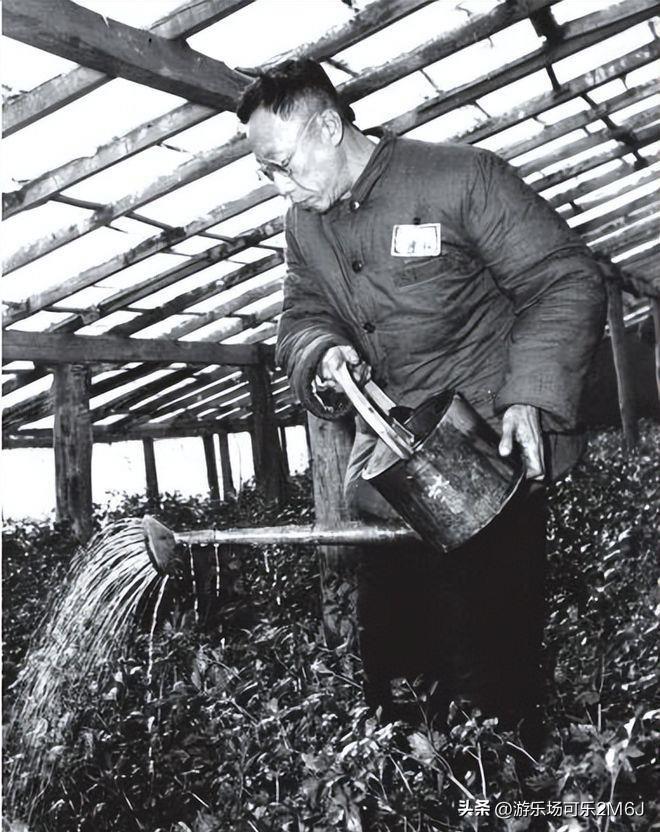 Sau khi trở thành dân thường, Phổ Nghi xin làm 2 nghề này nhưng đều bị từ chối, lý do vì sao?- Ảnh 3. Sau khi trở thành dân thường, Phổ Nghi xin làm 2 nghề này nhưng đều bị từ chối, lý do vì sao?- Ảnh 3.