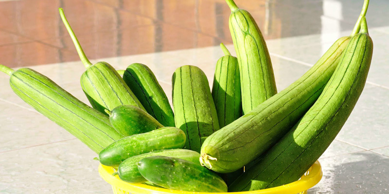 5 loại rau nên mua ngay trong tháng 5: Vào vụ, ăn mát, ít thuốc và giá rẻ bất ngờ- Ảnh 3.