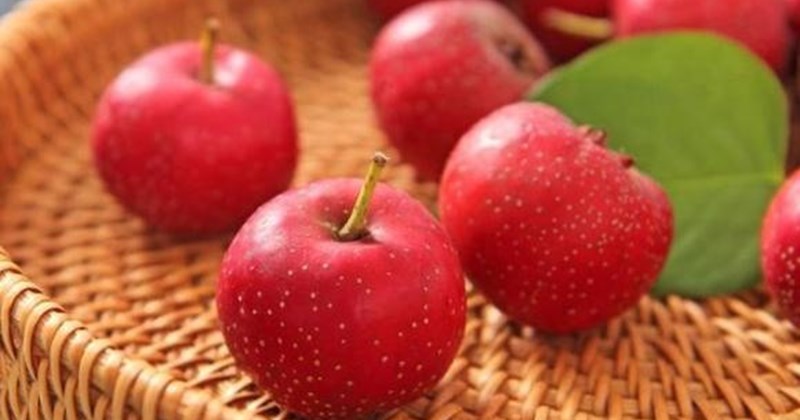 Chuyên gia y học cổ truyền Trung Hoa chỉ rõ 3 loại thực phẩm trường thọ: Nghe rất quen nhưng không phải ai cũng dùng đúng cách!- Ảnh 4. Chuyên gia y học cổ truyền Trung Hoa chỉ rõ 3 loại thực phẩm trường thọ: Nghe rất quen nhưng không phải ai cũng dùng đúng cách!- Ảnh 4.