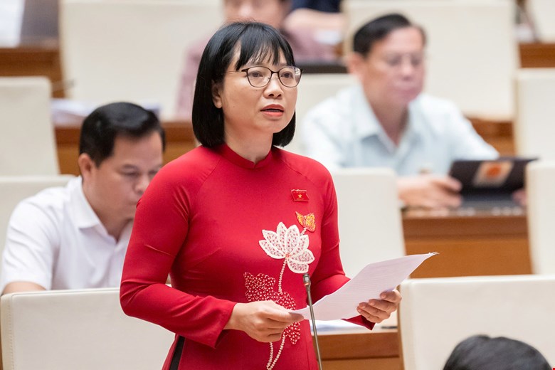 Đại biểu Quốc hội lo ngại "công ty ma" lợi dụng khi chuyển sang cơ chế hậu kiểm- Ảnh 2. Đại biểu Quốc hội lo ngại "công ty ma" lợi dụng khi chuyển sang cơ chế hậu kiểm- Ảnh 2.