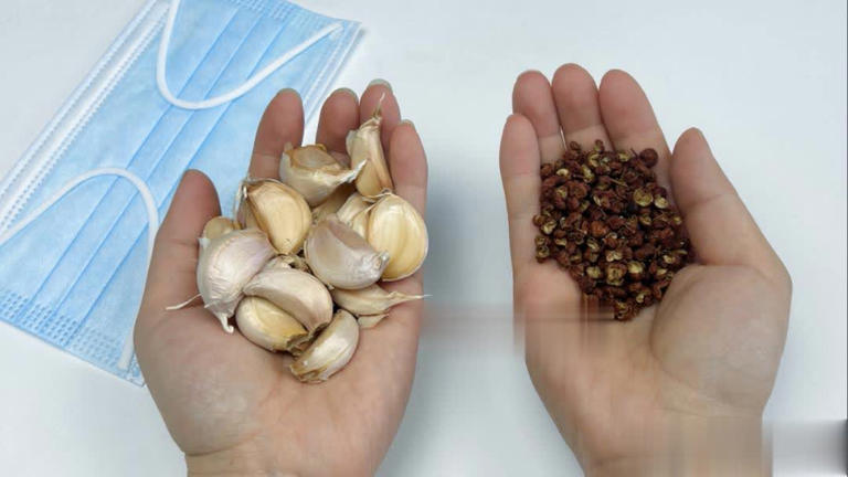 Gạo có côn trùng không cần phơi dưới ánh nắng! Chủ hàng gạo chỉ 1 mẹo để gạo cả năm không bị mọt- Ảnh 3. Gạo có côn trùng không cần phơi dưới ánh nắng! Chủ hàng gạo chỉ 1 mẹo để gạo cả năm không bị mọt- Ảnh 3.