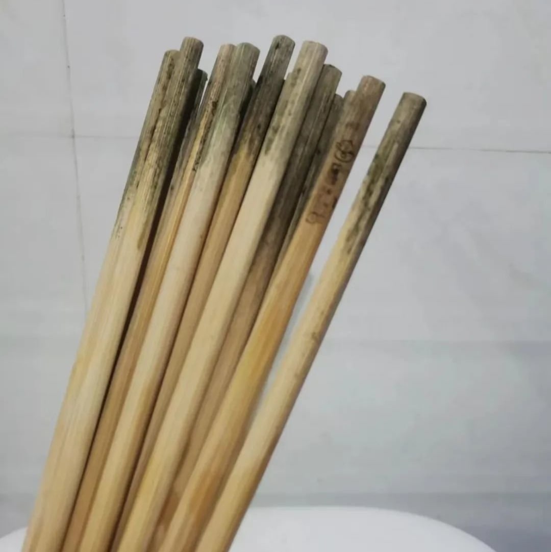 Bác sĩ khuyên bạn: Tiết kiệm mấy cũng nên thay 7 thứ này thường xuyên kẻo ngã bệnh lúc nào không hay- Ảnh 4. Bác sĩ khuyên bạn: Tiết kiệm mấy cũng nên thay 7 thứ này thường xuyên kẻo ngã bệnh lúc nào không hay- Ảnh 4.