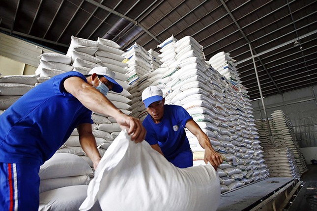 Đề xuất quy định mới về kinh doanh xuất khẩu gạo- Ảnh 1. Đề xuất quy định mới về kinh doanh xuất khẩu gạo- Ảnh 1.